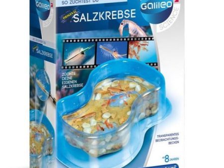 Clementoni - Galileo - Original Salzkrebse Online