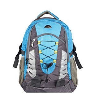 Bendly SP3 Multi 30 L Large Laptop Backpack (Blue) Online now